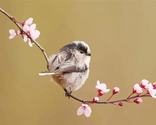 Long Tailed Tit On a Tree Diamond Painting