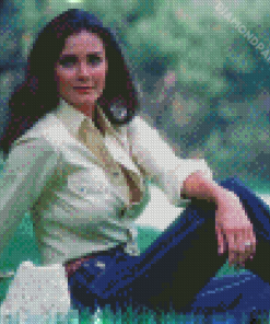 Lynda Carter Diamond Painting