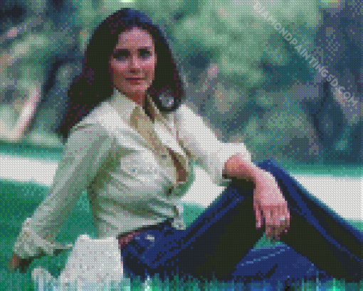 Lynda Carter Diamond Painting