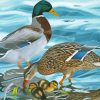 Mallard Ducks Diamond Painting