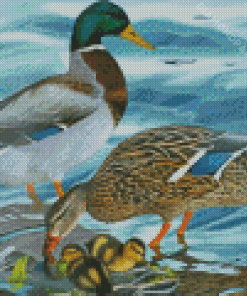 Mallard Ducks Diamond Painting