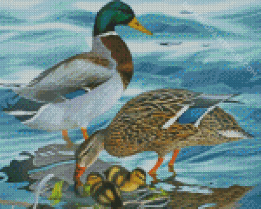 Mallard Ducks Diamond Painting