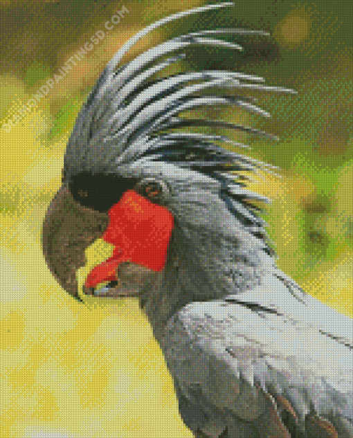 Palm Cockatoo Bird Diamond Painting