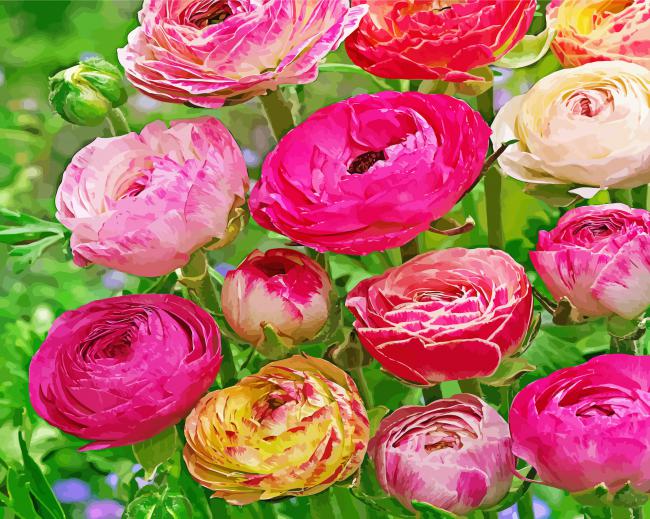 Peonies and Ranunculus Flowers Diamond Painting