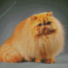 Persian Cat Diamond Painting