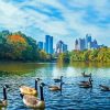 Piedmont Park Geese Diamond Painting