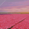 Pink Field Diamond Painting