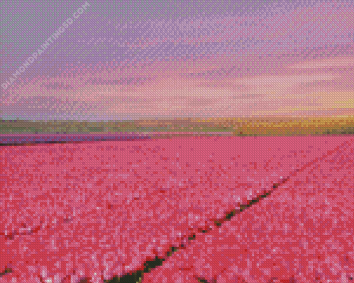 Pink Field Diamond Painting