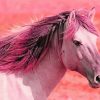 Pink Horse Diamond Painting