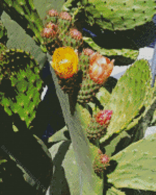 Prickly Pears Diamond Painting