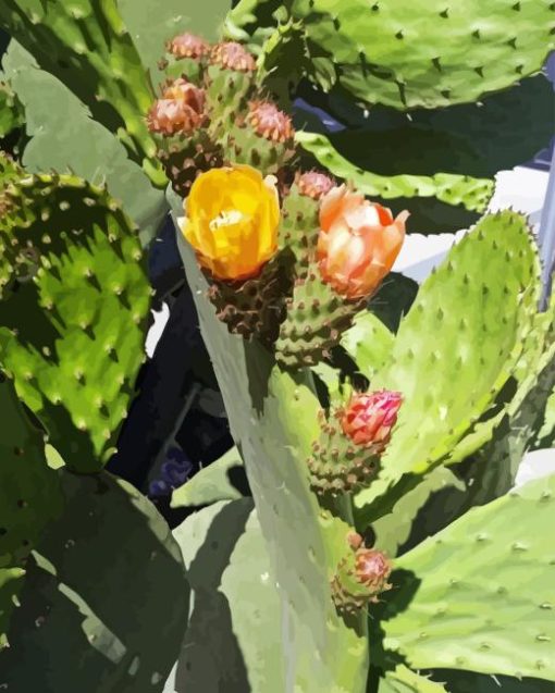 Prickly Pears Diamond Painting