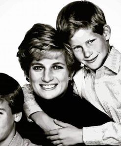 Prince William And Harry With Diana Diamond Painting