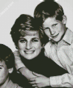 Prince William And Harry With Diana Diamond Painting