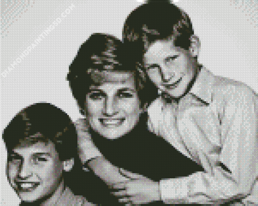 Prince William And Harry With Diana Diamond Painting