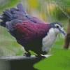 Purple Dove Diamond Painting