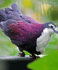 Purple Dove Diamond Painting