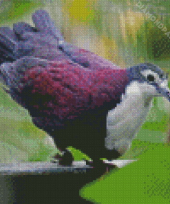 Purple Dove Diamond Painting