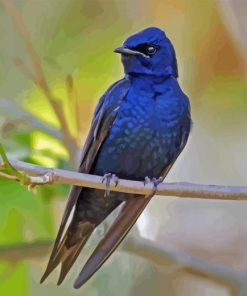 Purple Martin Diamond Painting