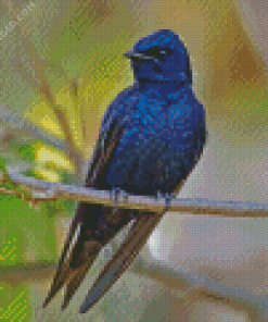 Purple Martin Diamond Painting