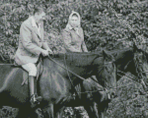 Queen Elizabeth Riding Burmese Diamond Painting