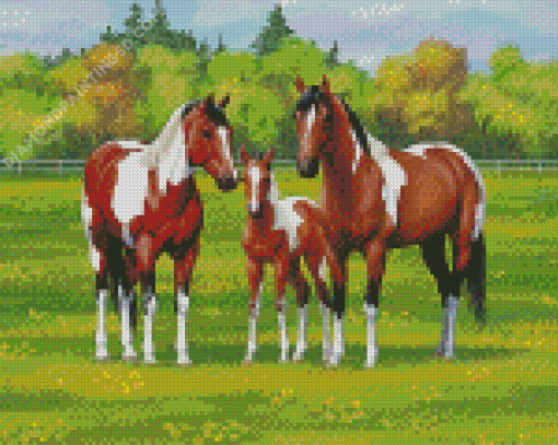 Ranch And Horses Diamond Painting