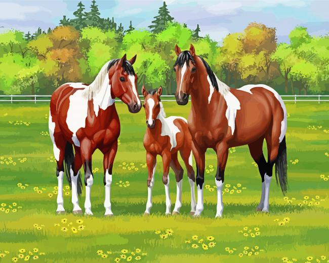 Ranch And Horses Diamond Painting