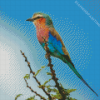 Roller Bird On Branch Diamond Painting