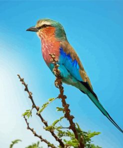 Roller Bird On Branch Diamond Painting