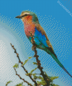 Roller Bird On Branch Diamond Painting