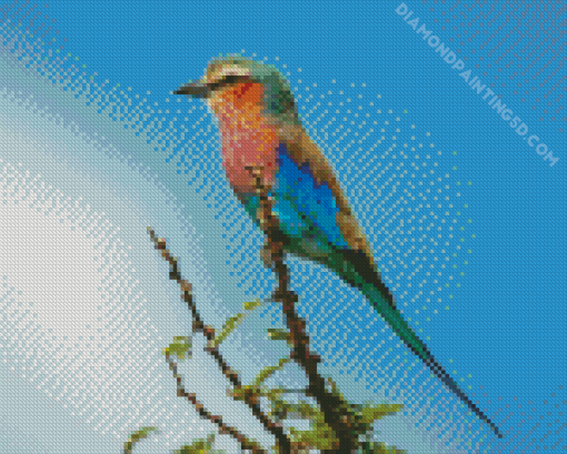 Roller Bird On Branch Diamond Painting