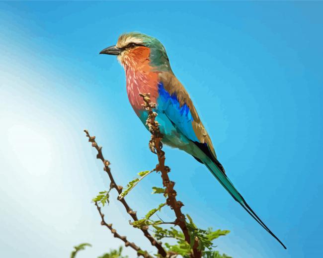 Roller Bird On Branch Diamond Painting