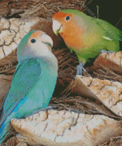 Rosy Faced Lovebirds Diamond Painting