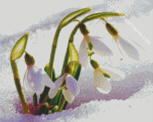 Spring Flowers In Snow Diamond Painting