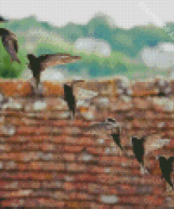 Swift Bird Diamond Painting