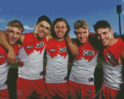 Sydney Swans Diamond Painting