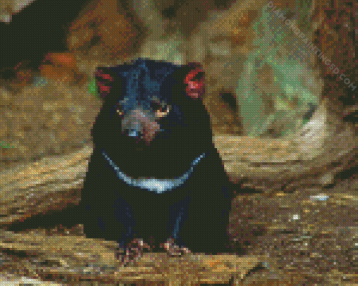 Tasmanian Devil Diamond Painting