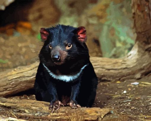 Tasmanian Devil Diamond Painting