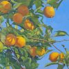 The Lemon Tree Diamond Painting