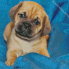 The Puggle Puppy Dog Diamond Painting