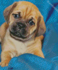 The Puggle Puppy Dog Diamond Painting