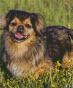 Tibetan Spaniel Diamond Painting