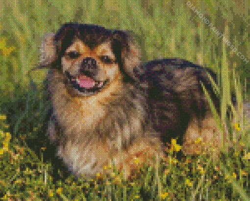 Tibetan Spaniel Diamond Painting