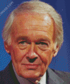 US Senator Ed Markey Diamond Painting