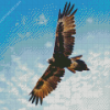 Wedge Tailed Eagle Wings Diamond Painting