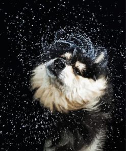 Wet Dog Shaking Diamond Painting