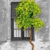 Window Tree Diamond Painting