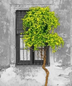 Window Tree Diamond Painting