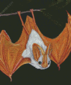 Winged Bat Art Diamond Painting