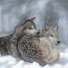 Winter Wolves Diamond Painting