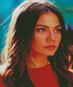 Actress Demet Ozdemir Diamond Painting